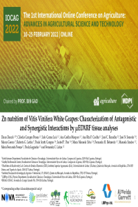 Daccak et al. Agriculture Presentation.pdf