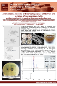 sciforum_ECA2025.pdf