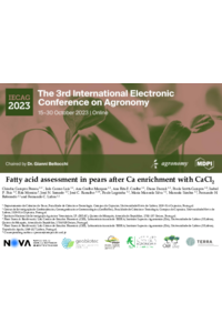 Pessoa et al. Presentation IECAG2023.pdf