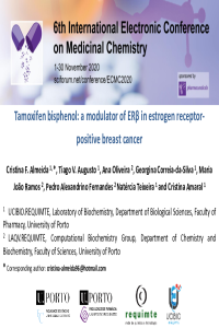 Presentation_Cristina Almeida.pdf
