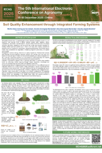 sciforum-145097.pdf