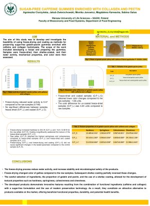 Poster.pdf