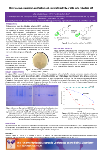 Poster presentation Bekic et al final.pdf