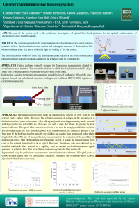 Poster Trono Chemiluminescence IECB2023.pdf