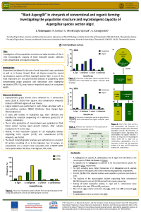 POSTER_ST_GK_OM.pdf