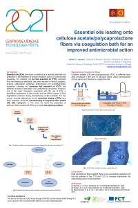 Poster_NH1.pdf