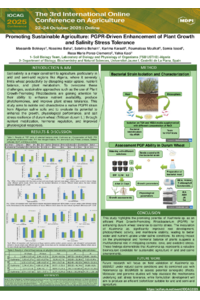 sciforum-139168-Bekkaye Massakib MDPI 2025.pdf