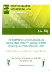 PPT IECPS 2020.pdf