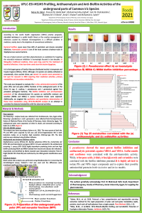poster sciforum-049083.pdf
