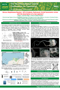 Poster Amphinema V1.pdf