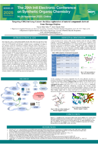 ECSOC-poster template n.pdf