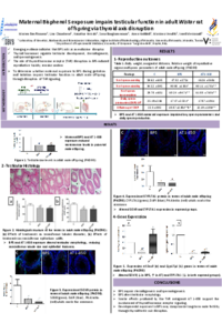 Poster (Mariem Ben Rhouma et al).pdf