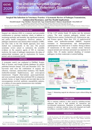 Poster.pdf