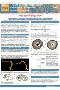 IECD poster Neklyudov.pdf