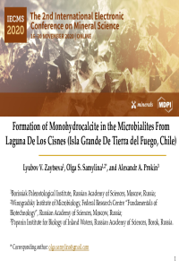 sciforum-036877-Presentation.pdf