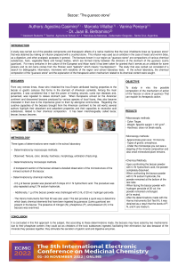 sciforum-066135.pdf