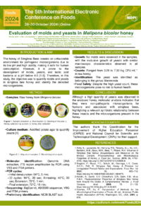 poster_elis.pdf