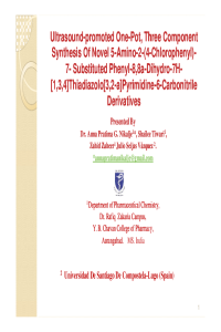 Presentation Shailee.pdf