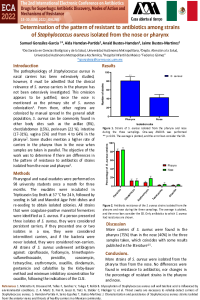 Poster 1 2022 Patrones de resistencia 1.2.pdf