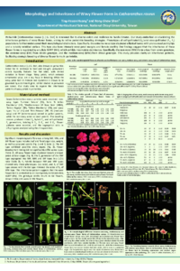 wavy flower form poster.pdf