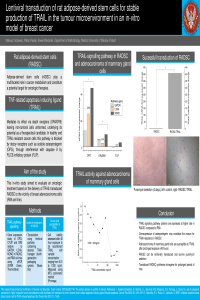 poster.pdf