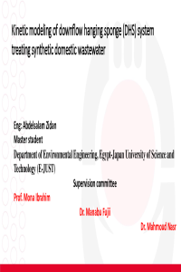 Conference Nasr Zidan.pdf