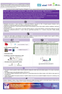 9th-ECMC_Poster_template final3.pdf