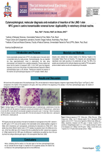 Poster Thamirys iecge.pdf