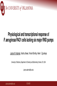 ECA_2021_Adamiak_Justyna.pdf
