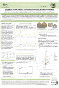 poster.pdf