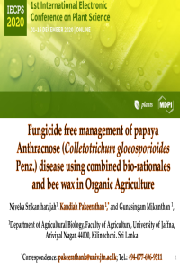 sciforum-033330 IECPS 2020 Papaya Presentation 04 11 2020.pdf