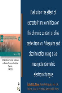 sciforum_046348_slides_Oral_Presentation_CSAC2021.pdf