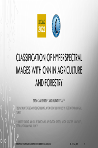 IECAG2021_Slideshow_ECSeyrek_MUysal.pdf