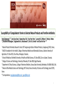 PPT file for the conference.pdf
