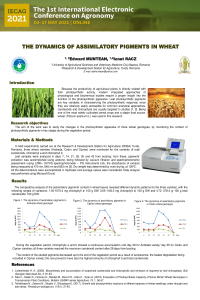 Wheat Muntean poster.pdf
