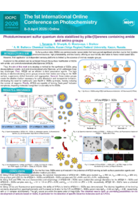 Poster_I. Tanaeva_IOCPC 2026.pdf