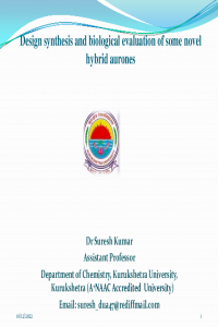 sciforum-066261.pdf