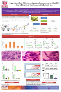 Poster presentation.pdf