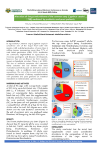 Elshafia poster, IECA 2025..pdf