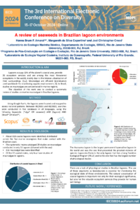 IECD poster Hanna Brum.pdf