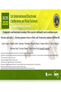 Antonella Smeriglio_IECP2020.pdf