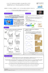 IOCD2025 Effect of intracerebral Magnetoelectric nanoparticles on behavioral outcomes (100 x 175 cm).pdf