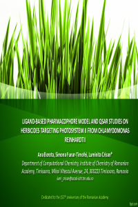 Presentation_Borota.pdf