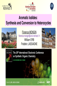 slides FMongin ECSOC26.pdf