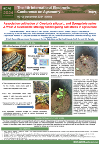 sciforum-102371 pdf.pdf