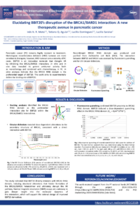 Poster IECC_IM.pdf