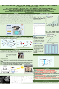 Sciforum-135153-Vincy et al.pdf