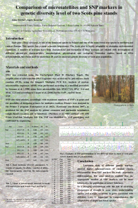 A.Tereba, poster.pdf