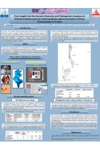 03The 3rd Int Elec Conf on Anim_poster - Copy - Copy.pdf