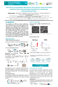 Poster_IOCPC_BValadares-1.pdf.pdf